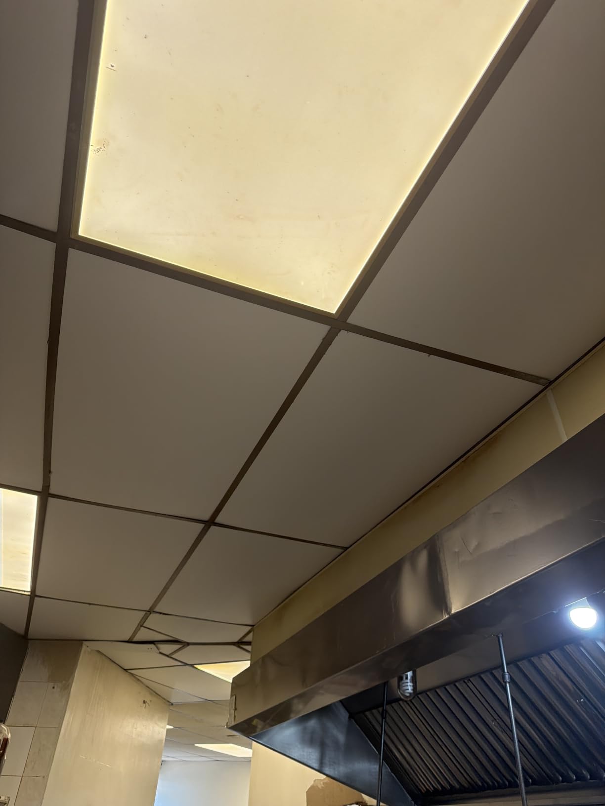 PVC Drop Ceiling Tiles 2ft x 4ft - Waterproof, Fire-Rated, Commercial Grade, Washable & Scratch Resistant, No Sag and Breakage - Easy Drop-in Installation - Case of 10 (80 sq. ft.) customer photo 1