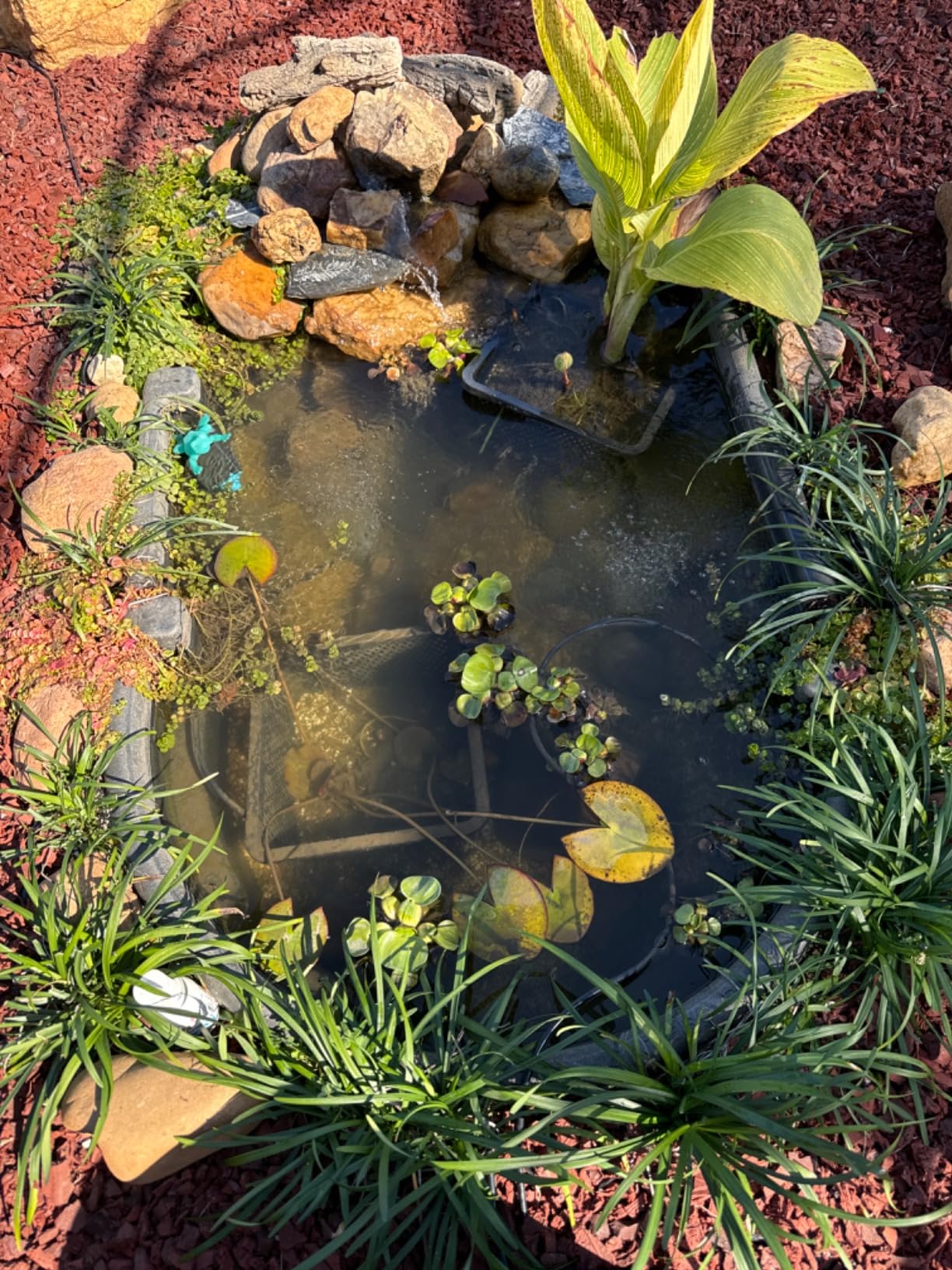 All-in-One Pond Aerator for Outdoor Ponds, Flow Adjustable Pond Air Pump Aeration Kit with Airline Tubing Air Stones Check Valves customer photo 2