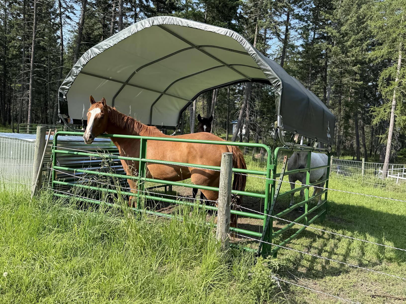 ShelterLogic Standard Replacement Cover 804782-0102, 7.5oz, Green for 51523 12x12 ft. Corral Shelter customer photo 1