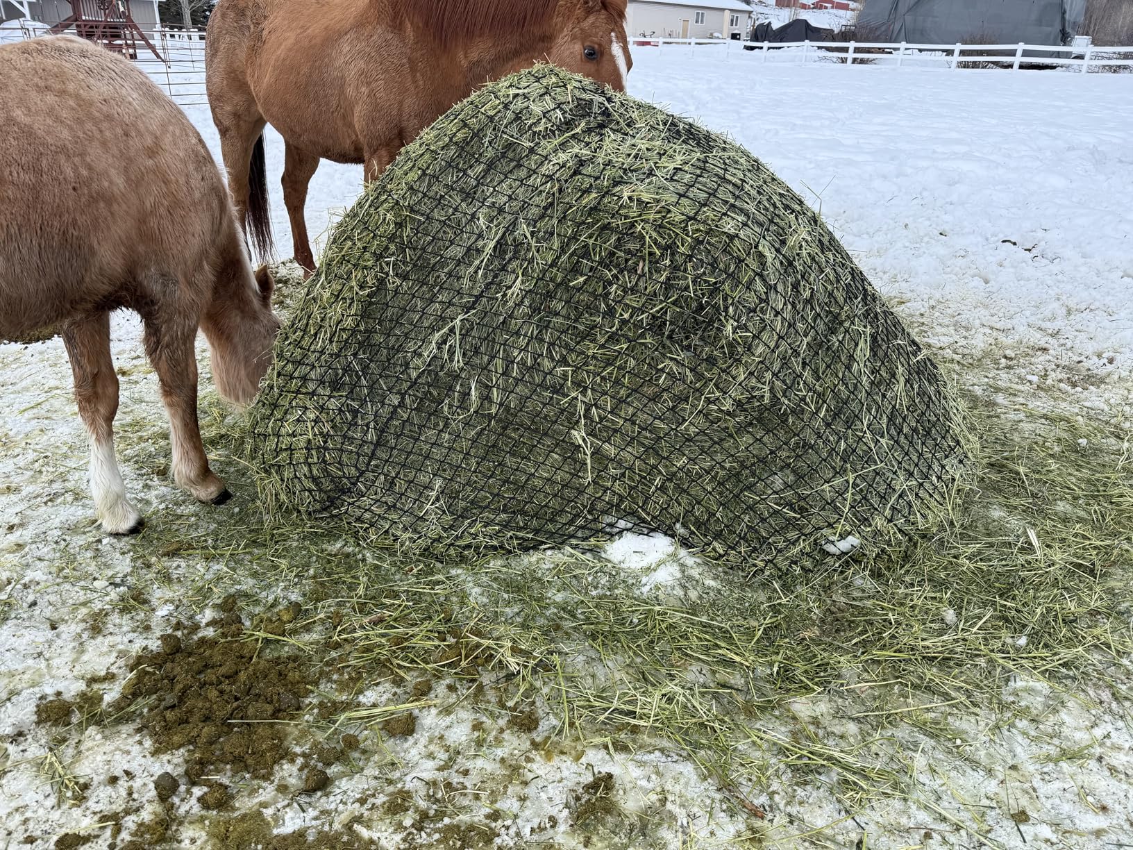 TONGMO 5x5 ft Round Bale Hay Net for Horses & Livestock - Slow Feeder Hay Nets with 2 inches Hole customer photo 2