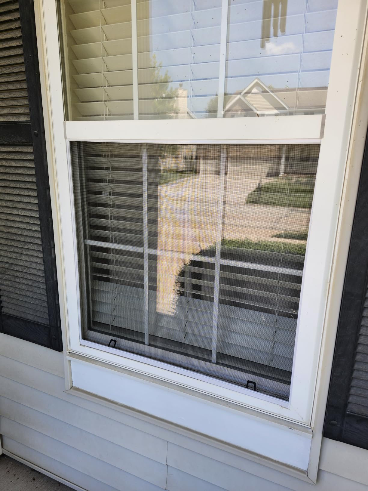 Augblinds DIY Aluminum Window Screen Frame Kit, 2 Sets, 46 in, White | Window Screen Replacement Kit, Cut-to-Size, Makes 2 Screens up to 46 x 46 in, Mesh, Spline, 8 Corners customer photo 1