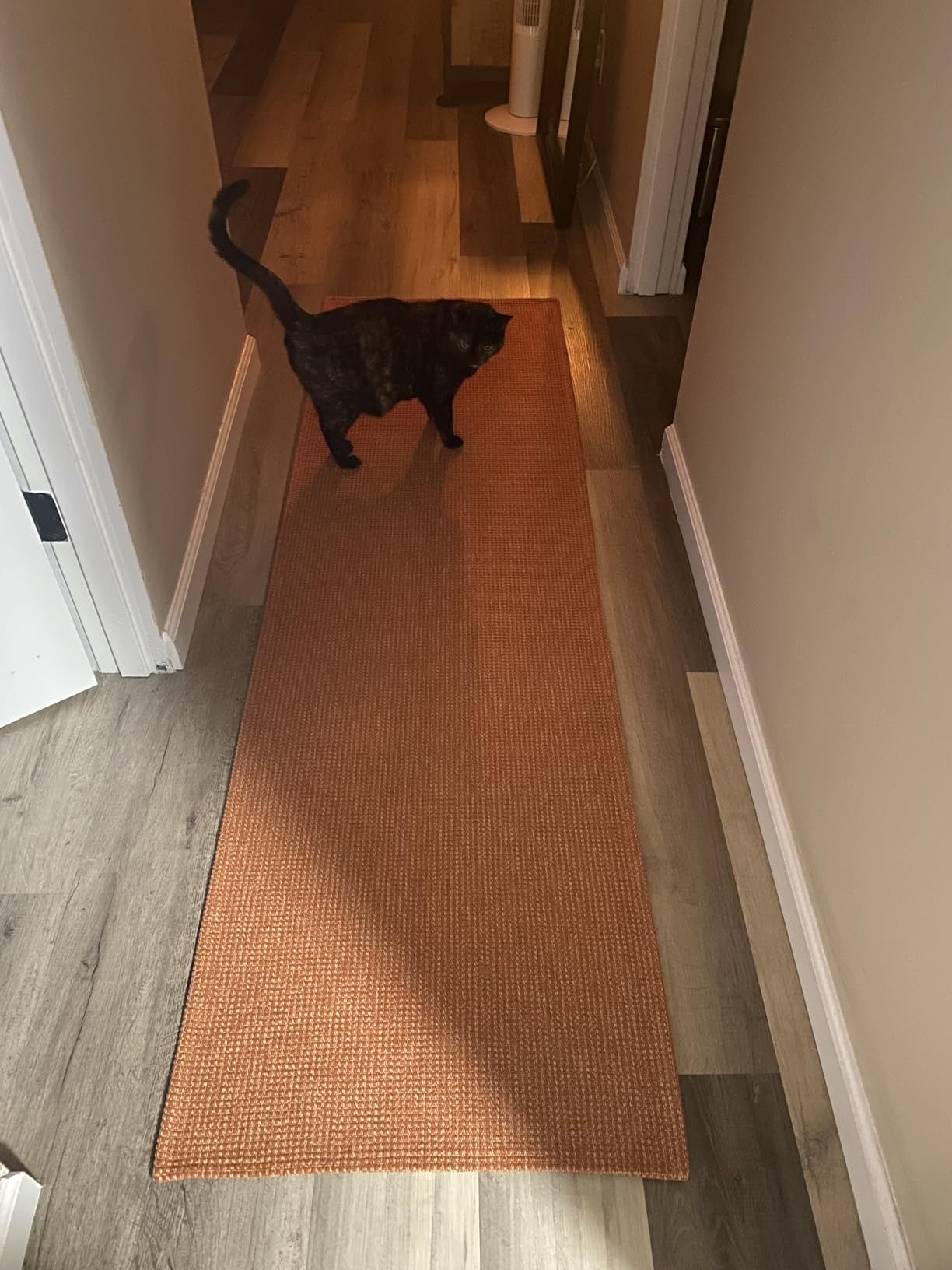 KOZYFLY Extra Long Runners for Hallways 3x18 ft Washable Kitchen Runner Non Slip Rubber Backed Hallway Rug Cotton Entryway Runner Rug Floor Carpet for Indoor Hall, Kitchen, Stair, Black/Dark Grey customer photo 1