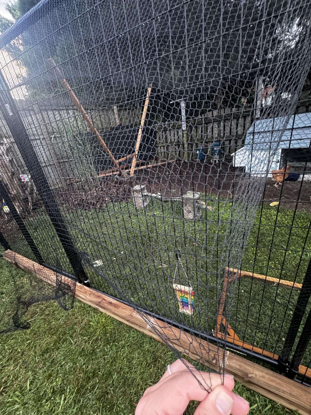 Bird Netting for Chicken Coop 25x50 Ft, 1