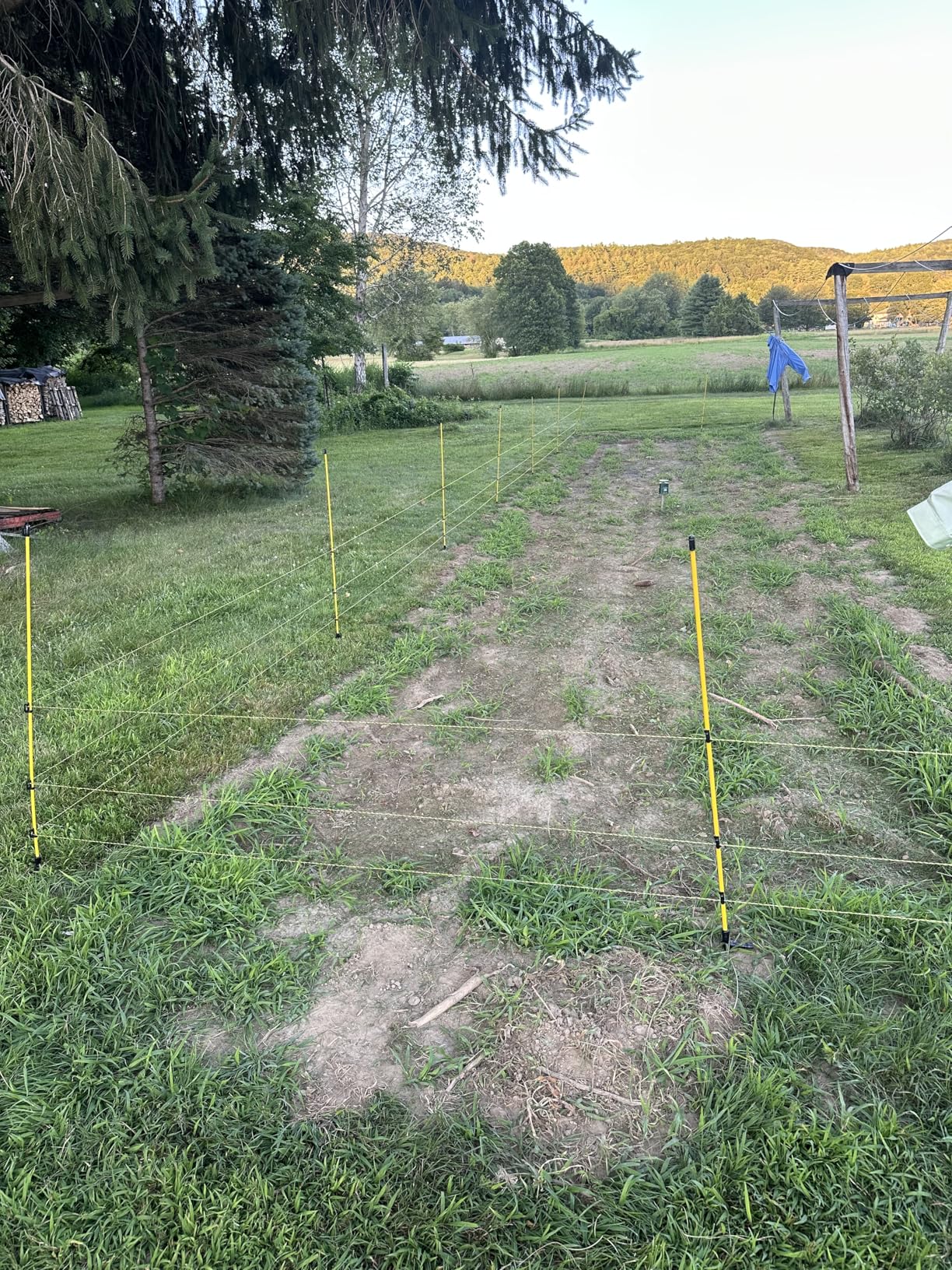 50 PCS Electric Fence Posts, 3/8