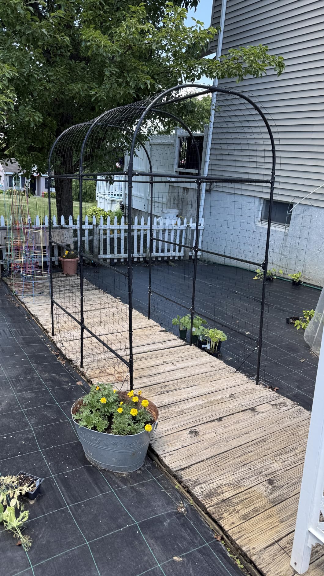 Black PVC Coated Welded Wire Fence 24 in x 50 Ft for Yard Plant Protection | 2 x 3 Inch 16GA Garden Border Fencing Roll Metal Wire Mesh Animal Barrier Fence for Dog Poultry Netting customer photo 1