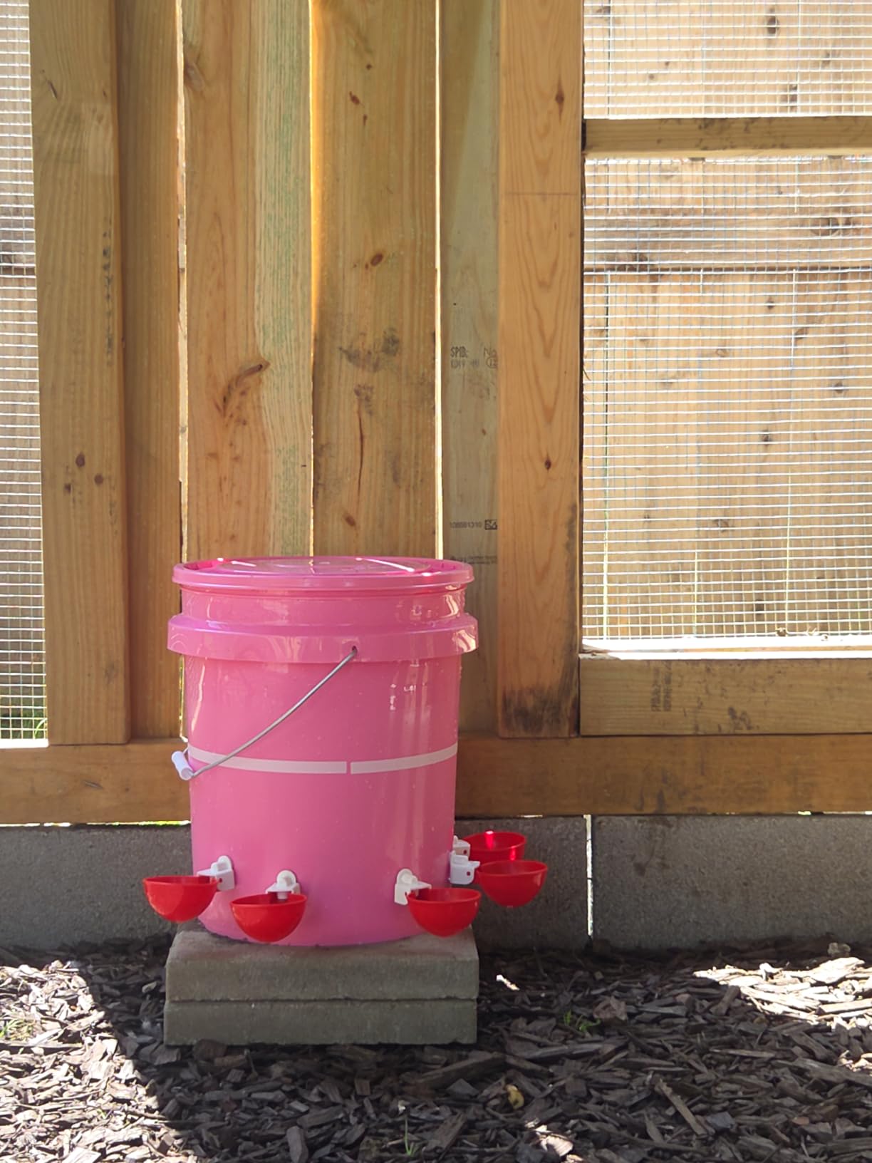 ZenxyHoC Chicken Waterer Cups, 6 Pack Automatic DIY Chicken Water Bowl with 3/8'' Hole Saw for Bucket, Trough - Poultry Drinking Valve, Easy Install customer photo 1