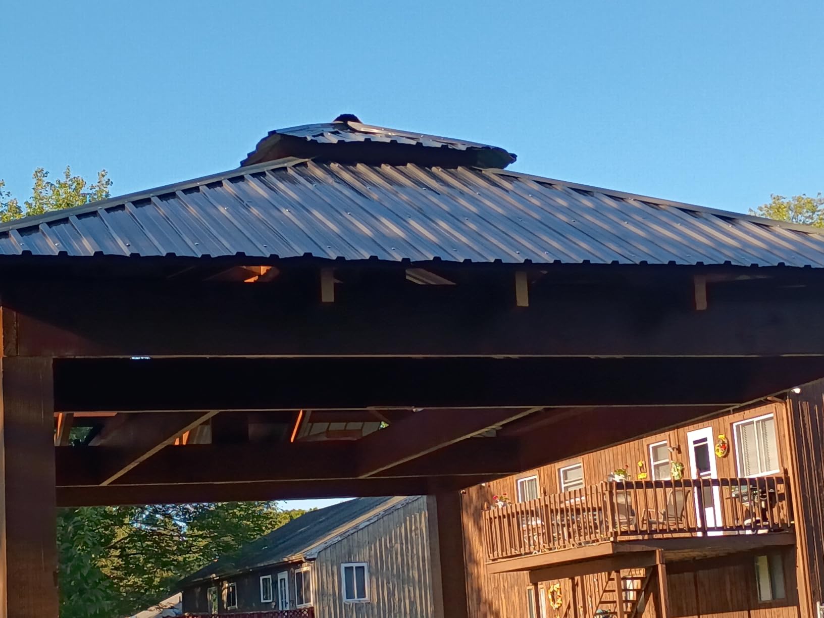 Metal Roof Panels 10 pcs 50 ft² Galvanized Steel Corrugated Tin Roofing Panels Gazebo Top Cover Garages,Sheds, Stables and Mobile Homes Replacement for Patio Outdoor Garden, Black customer photo 1
