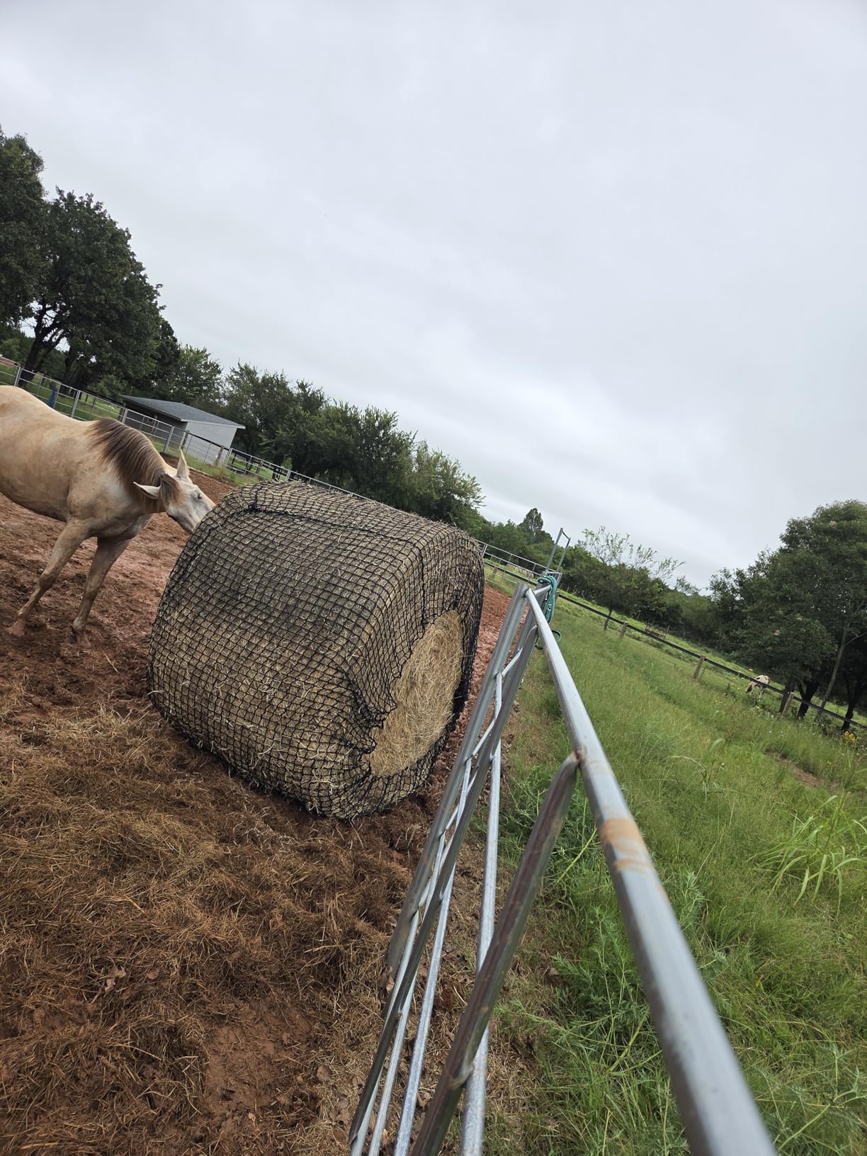 5x5 ft Round Bale Hay Net for Horses & Goats, 1.5