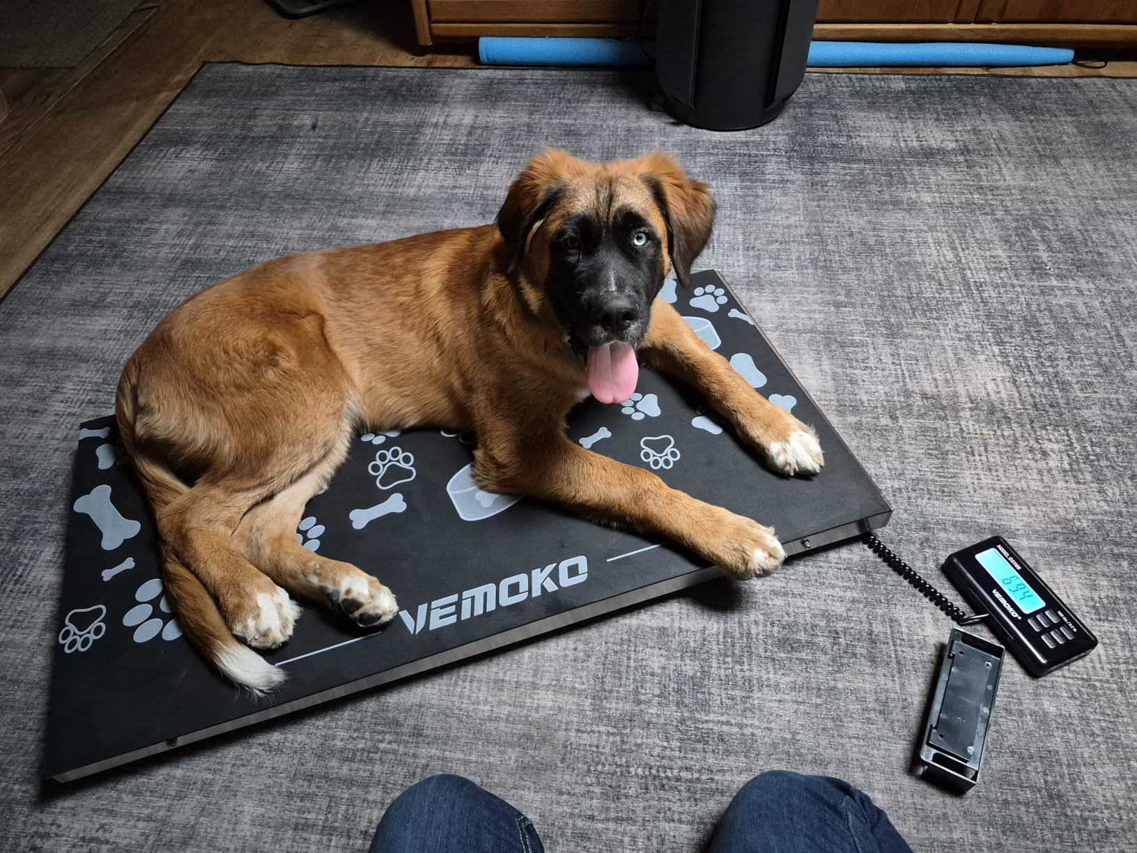 Precision Large Dog Scale - 1100lb x 0.2lb Large Breed Animal Weight Scale, Livestock Scale Non-Slip Stainless Steel Platform for Animal 40.7x20.9 Inch (Non-Slip Platform) customer photo 1