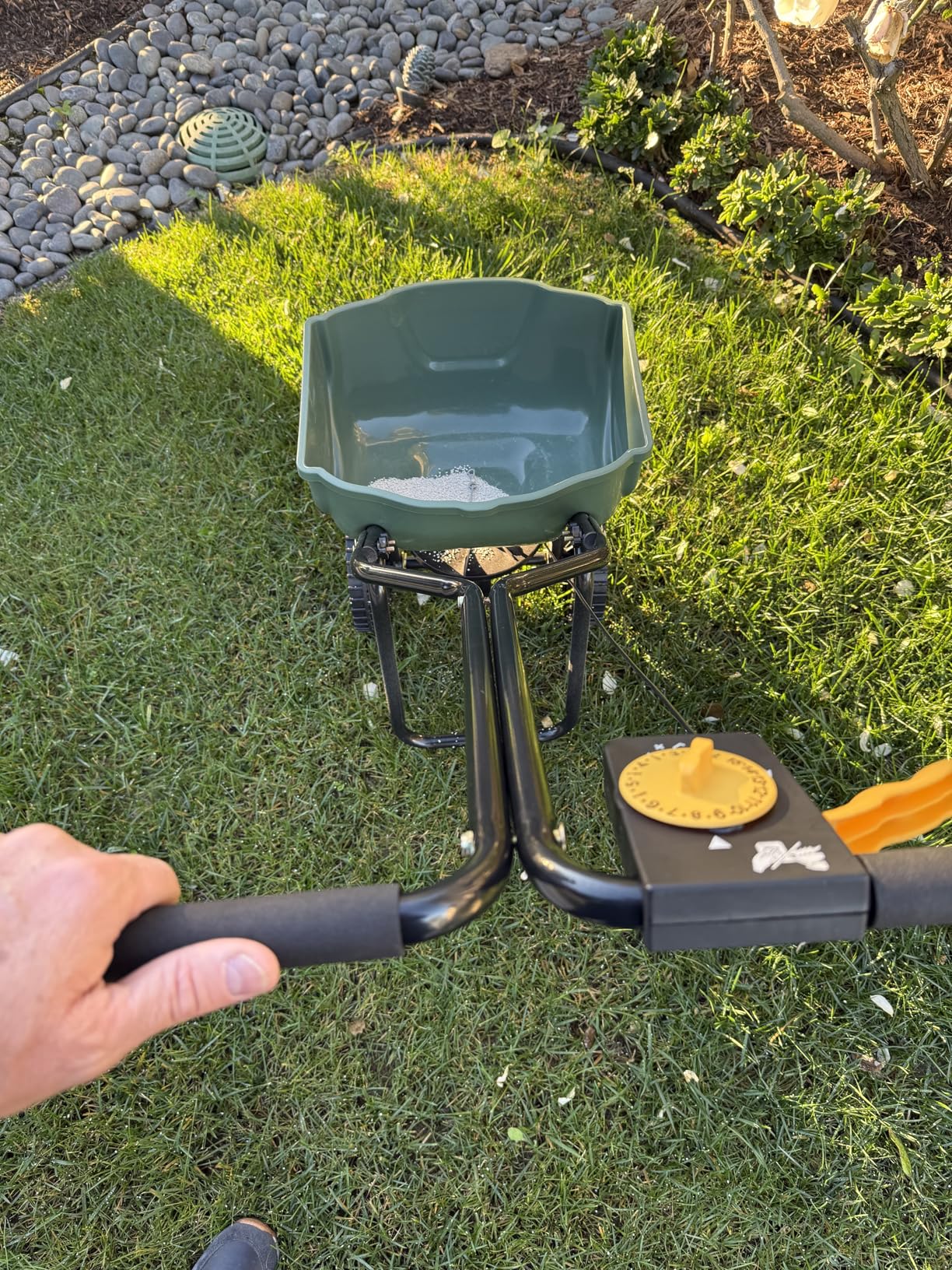 Amazon Basics Fertilizer Spreader for Lawn, Evenly Spreading, Multi-Gear System, Covers 5000 Square Feet per Load, 33 Pounds Capacity customer photo 1