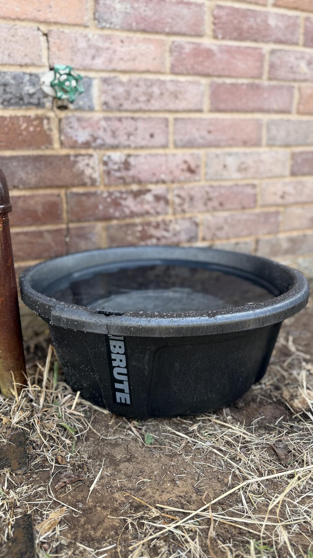 Rubbermaid Commercial Products Brute 6-Gallon Animal Pan Feeder, RigidCell Construction, Stackable Livestock Feed Bowl, Made in USA customer photo 1