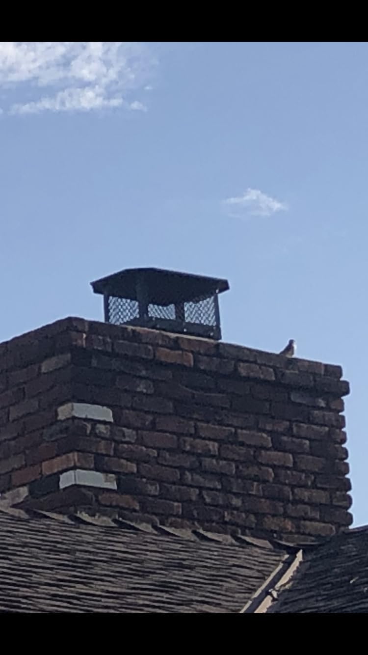 Chimney Cap, 17