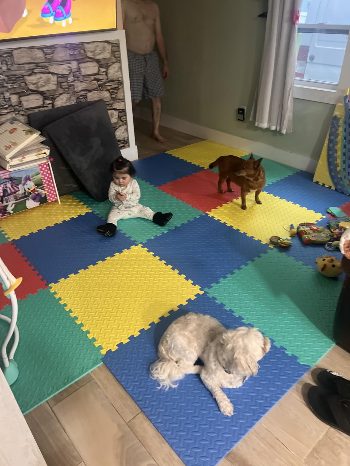 HONEY JOY Foam Floor Tiles for Kids, EVA Interlocking Baby Soft Puzzle Play Mat with Borders, Non-Slip Large Carpet Rug, for Baby Crawling Exercise & Development, Playroom, Bedroom (24 Pieces) customer photo 1