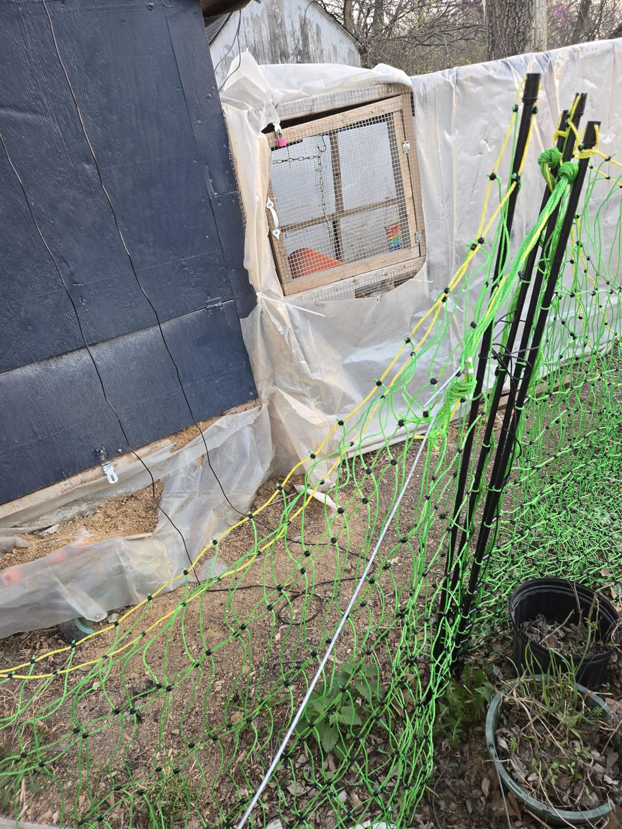 Electric Poultry Netting, 47.2