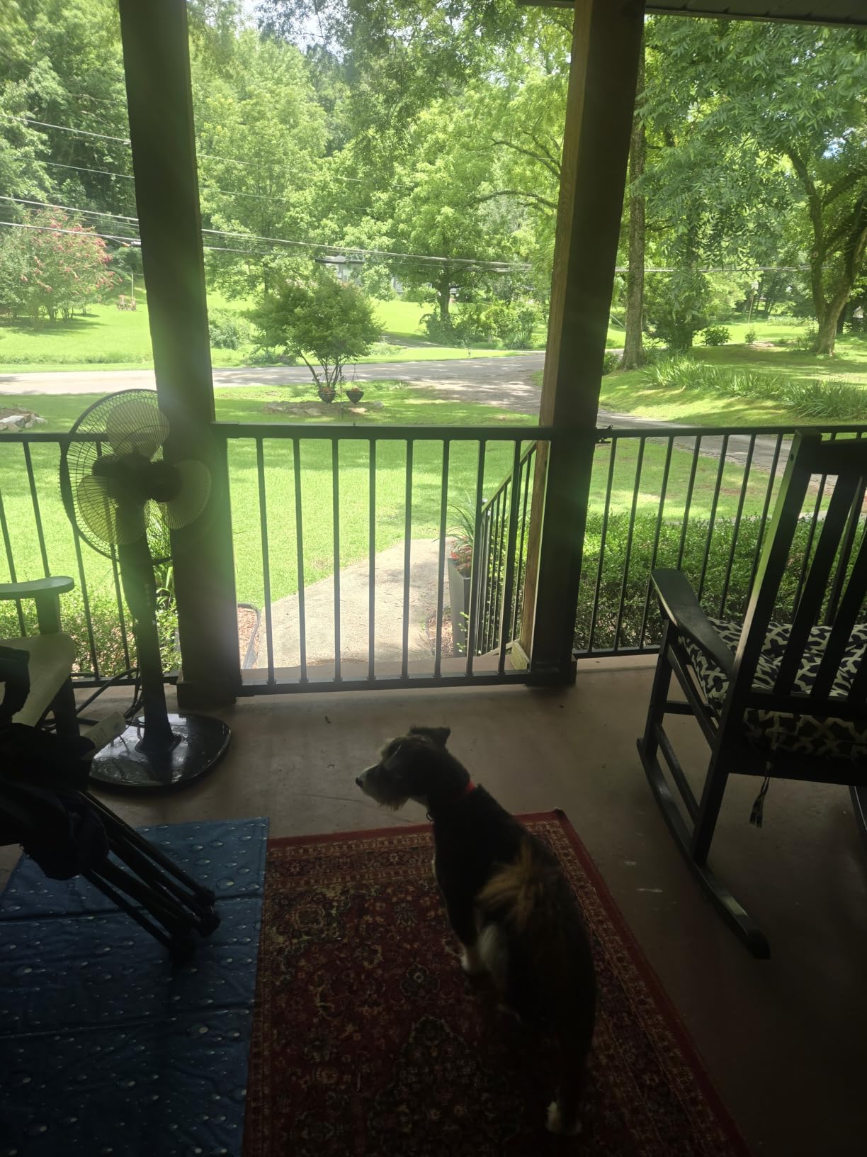 42in Heavy-Duty Steel Fence Gate, Black - Adjustable up to 48in Wide, Hinges & Latch Included customer photo 1