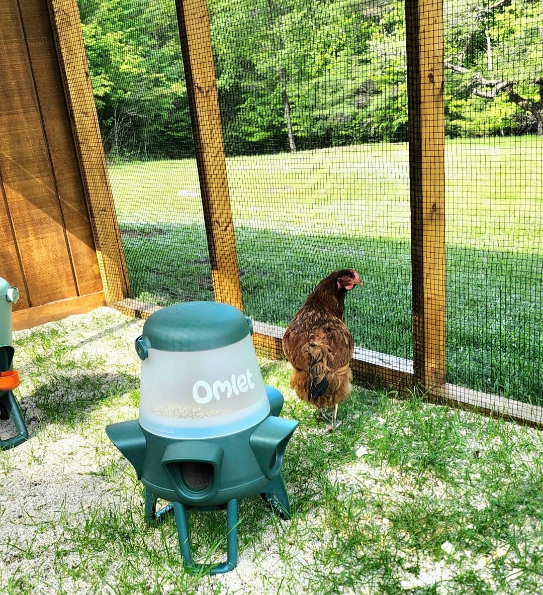 Omlet No Waste Chicken Feeder for Coop | 12lb Anti-Spill Poultry Feeder with 5 Feeding Ports | Feeds 6 Hens for 7 Days | Hanging or Free Standing | Weatherproof customer photo 2