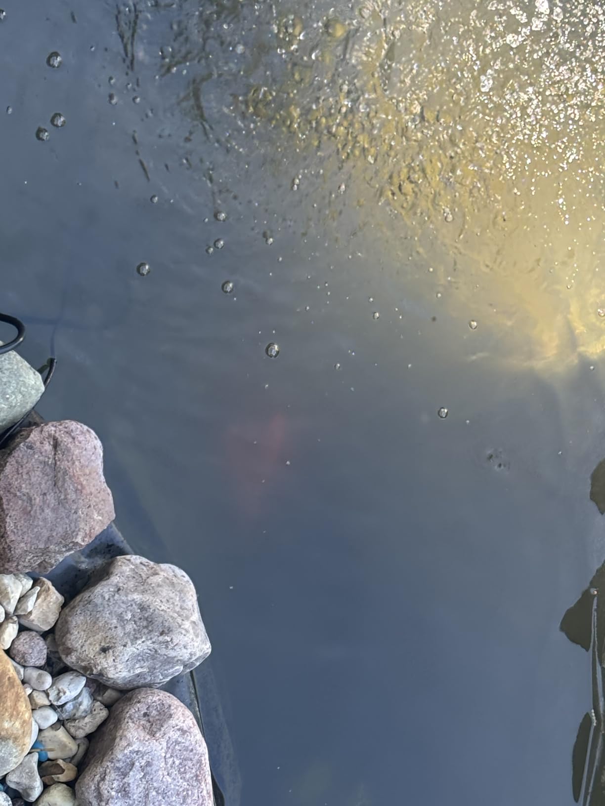 Submersible Pond Filter with Powerful 18W UV Light customer photo 2