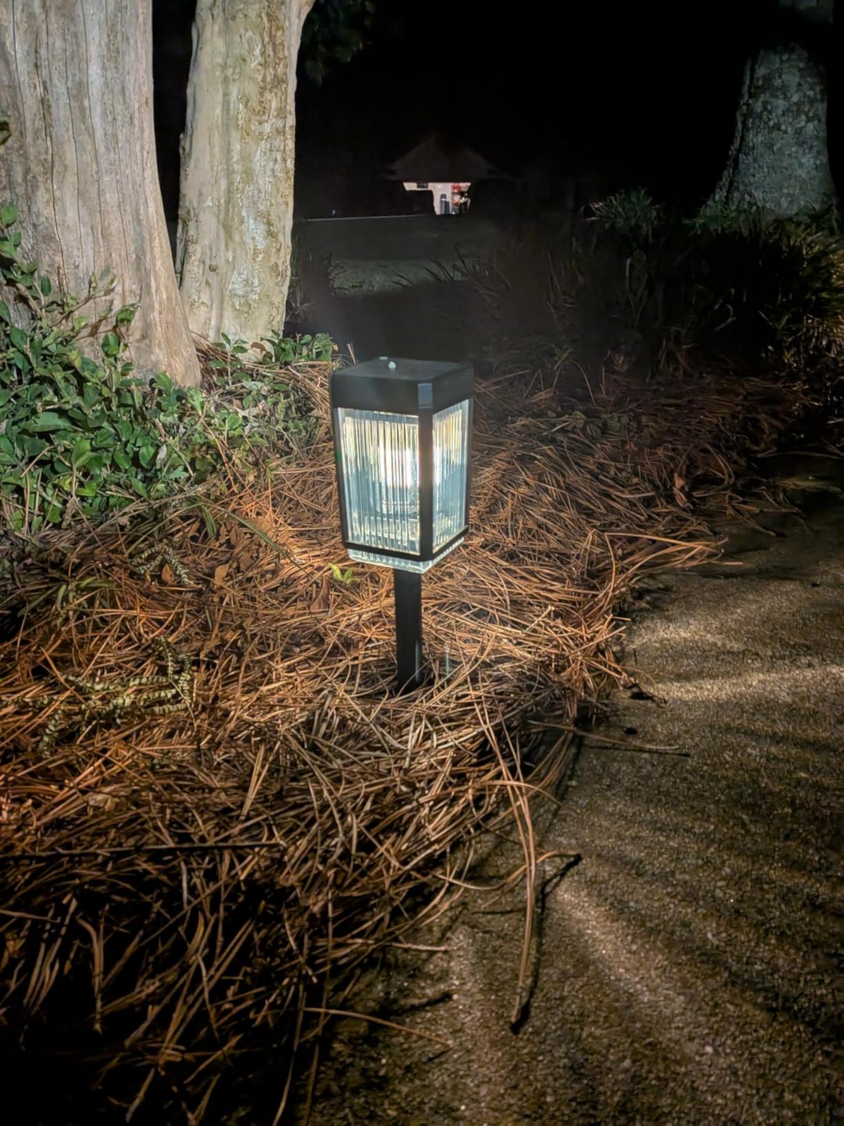 10-40 LM Solar Pathway Lights 3 Brightness Modes 8 Pack | Solar Lights Outdoor Waterproof IP65 Garden Lights Solar Powered for Walkway Driveway Yard Patio Decor (Warm White) customer photo 2