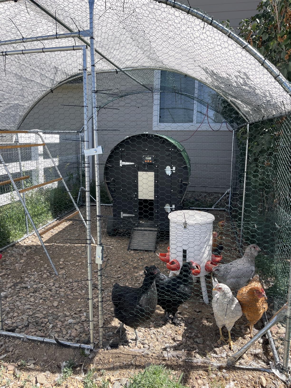 Quictent Essential Series 18x9ft Metal Chicken Coop Run w/Climbing Ladder | Walk-in Outdoor Poultry Cage with PVC Coated Chicken Wire, Hen Duck Rabbit Farm House, Waterproof Anti-UV Cover customer photo 1