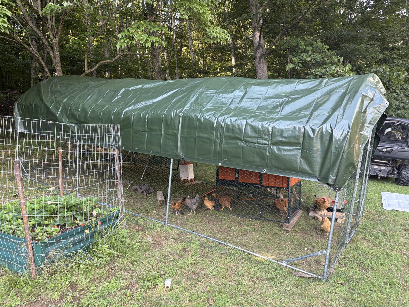 Quictent Essential Series 18x9ft Metal Chicken Coop Run w/Climbing Ladder | Walk-in Outdoor Poultry Cage with PVC Coated Chicken Wire, Hen Duck Rabbit Farm House, Waterproof Anti-UV Cover customer photo 2