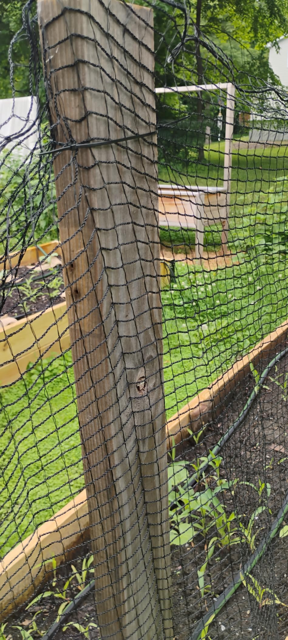 4x75FT Deer Fence Netting for Garden, 55GSM Plastic Mesh Temporary Fence | HDPE Deer Fencing, Reinforced Edge Deer Net, Garden Fence Animal Barrier, Bird Netting for Garden Tree Vegetable Raised Bed customer photo 1