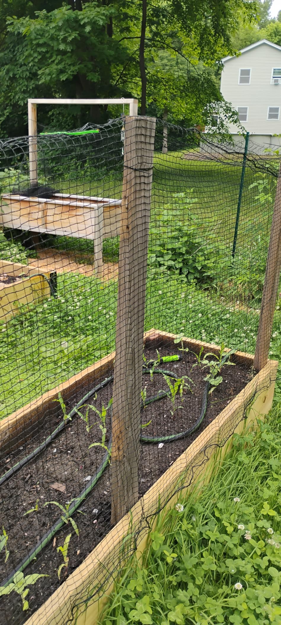4x75FT Deer Fence Netting for Garden, 55GSM Plastic Mesh Temporary Fence | HDPE Deer Fencing, Reinforced Edge Deer Net, Garden Fence Animal Barrier, Bird Netting for Garden Tree Vegetable Raised Bed customer photo 2