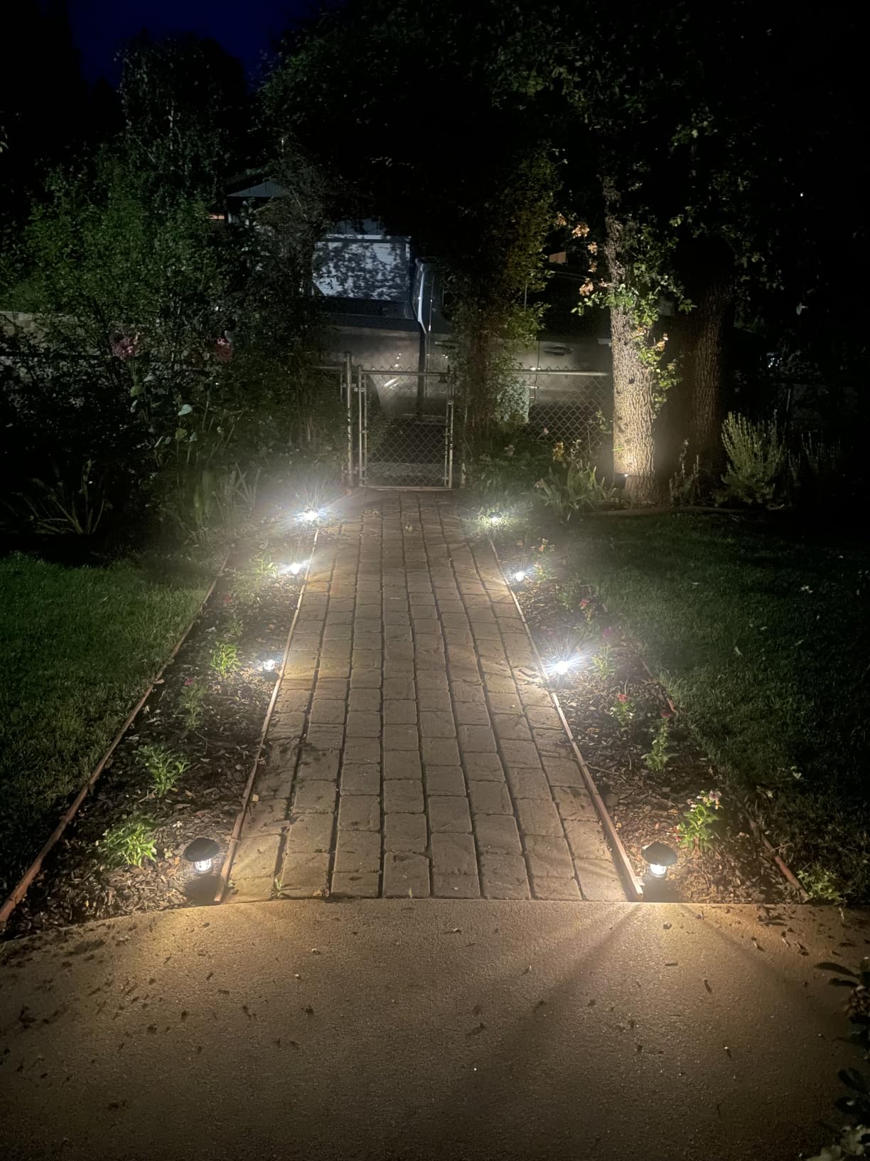 Solar Pathway Lights Outdoor - Warm White, 8 Pack | 3 Light Modes, IP65 Waterproof, Solar Powered, Easy Setup, Solar lights for Garden, Yard, Walkway, Driveway, Lawn, Pathway customer photo 1