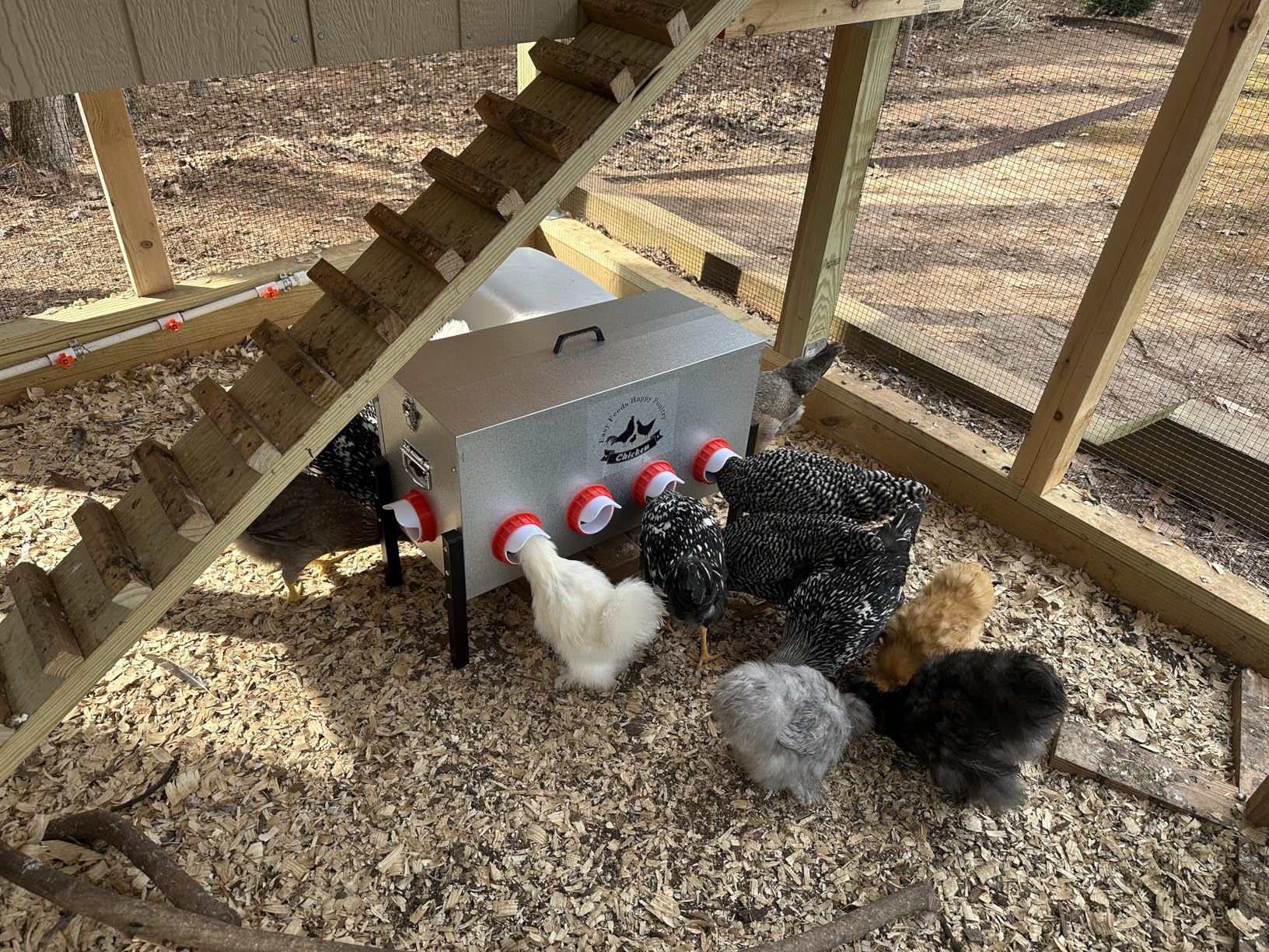 10-Gal Metal Automatic Chicken Feeder with 8 Feeding Ports | 55LB Capacity, Anti-Waste Design, Rust-Proof Alloy Steel, Clear Viewing Window, 3-Level Legs for Outdoor Chicken Coops customer photo 2