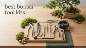 best bonsai tool kits