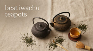 best iwachu teapots