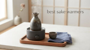 best sake warmers