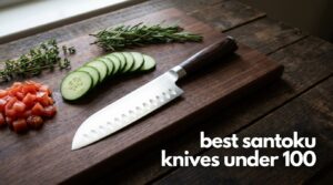 best santoku knives under 100
