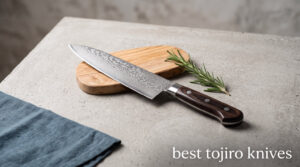 best tojiro knives