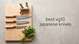 best vg10 japanese knives