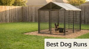 Best Dog Runs