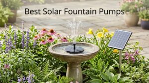 Best Solar Fountain Pumps