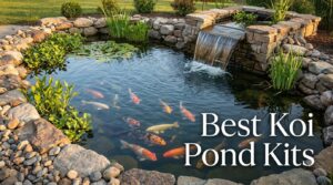 Best Koi Pond Kits