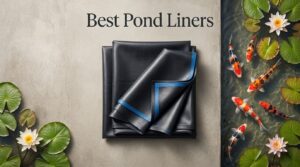 Best Pond Liners