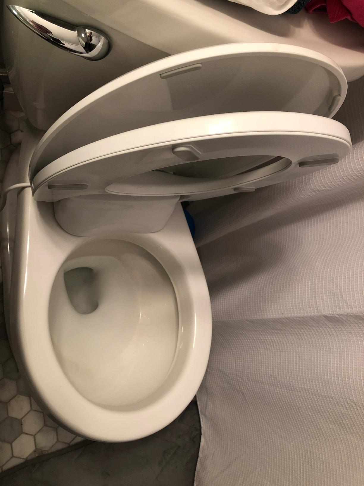 Brondell L60-EW LumaWarm Heated Nightlight Elongated Toilet Seat, White customer photo 2