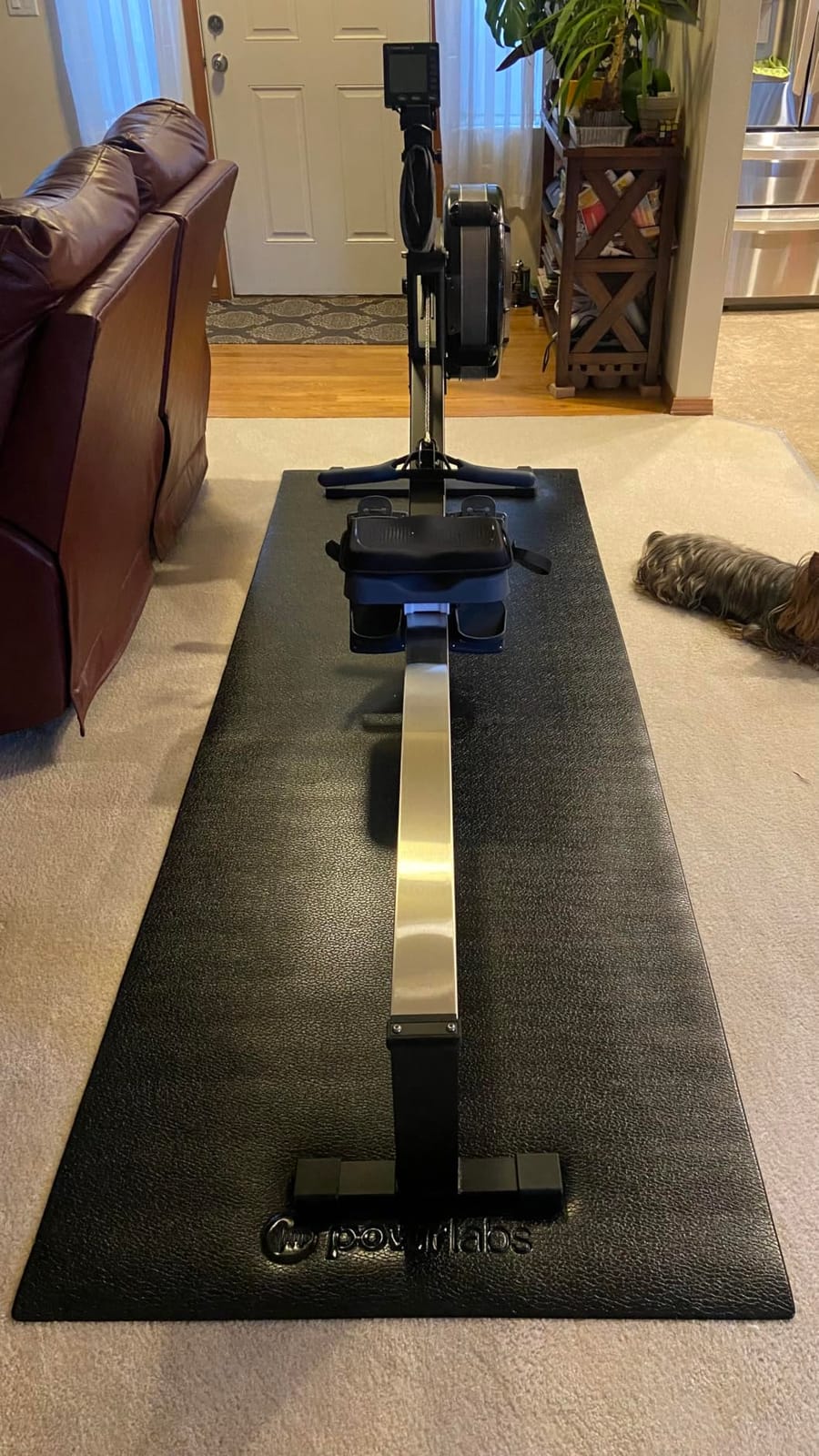 Concept2 RowErg Indoor Rowing Machine - PM5 Monitor, Device Holder, Adjustable Air Resistance, Easy Storage customer photo 1