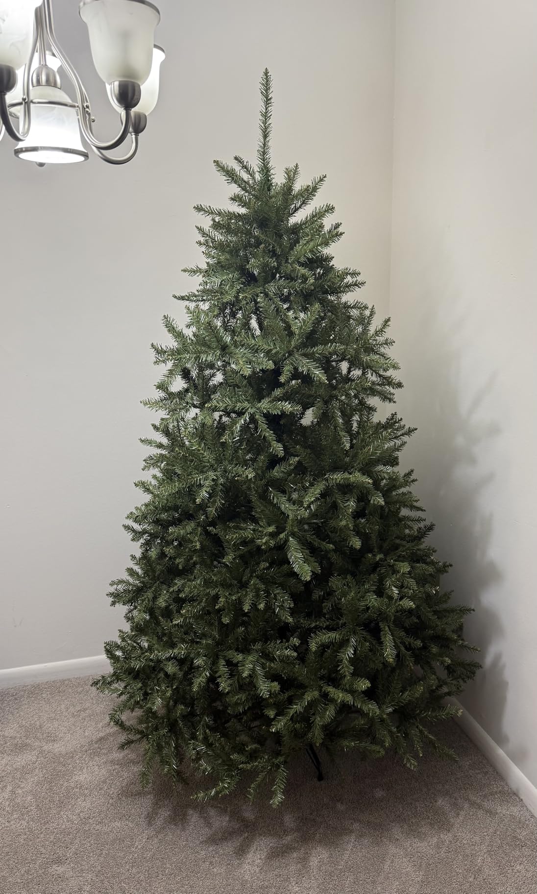 National Tree Company 6ft Unlit Dunhill Fir Artificial Full Christmas Tree | 1,430 Tips, Includes Stand, Green customer photo 1