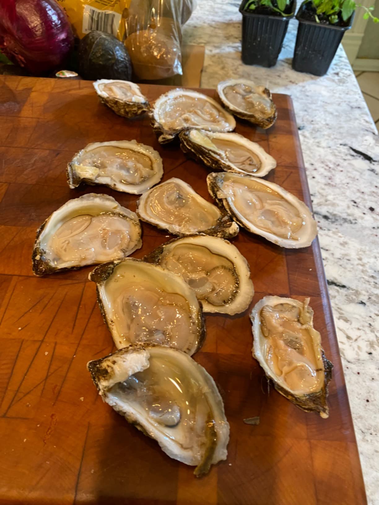 UJ Ramelson Co R. Murphy Duxbury Oyster Knife - As Seen in Bon Appetit Magazine - Shellfish Seafood Clam Shucker Tool - Made in USA customer photo 2