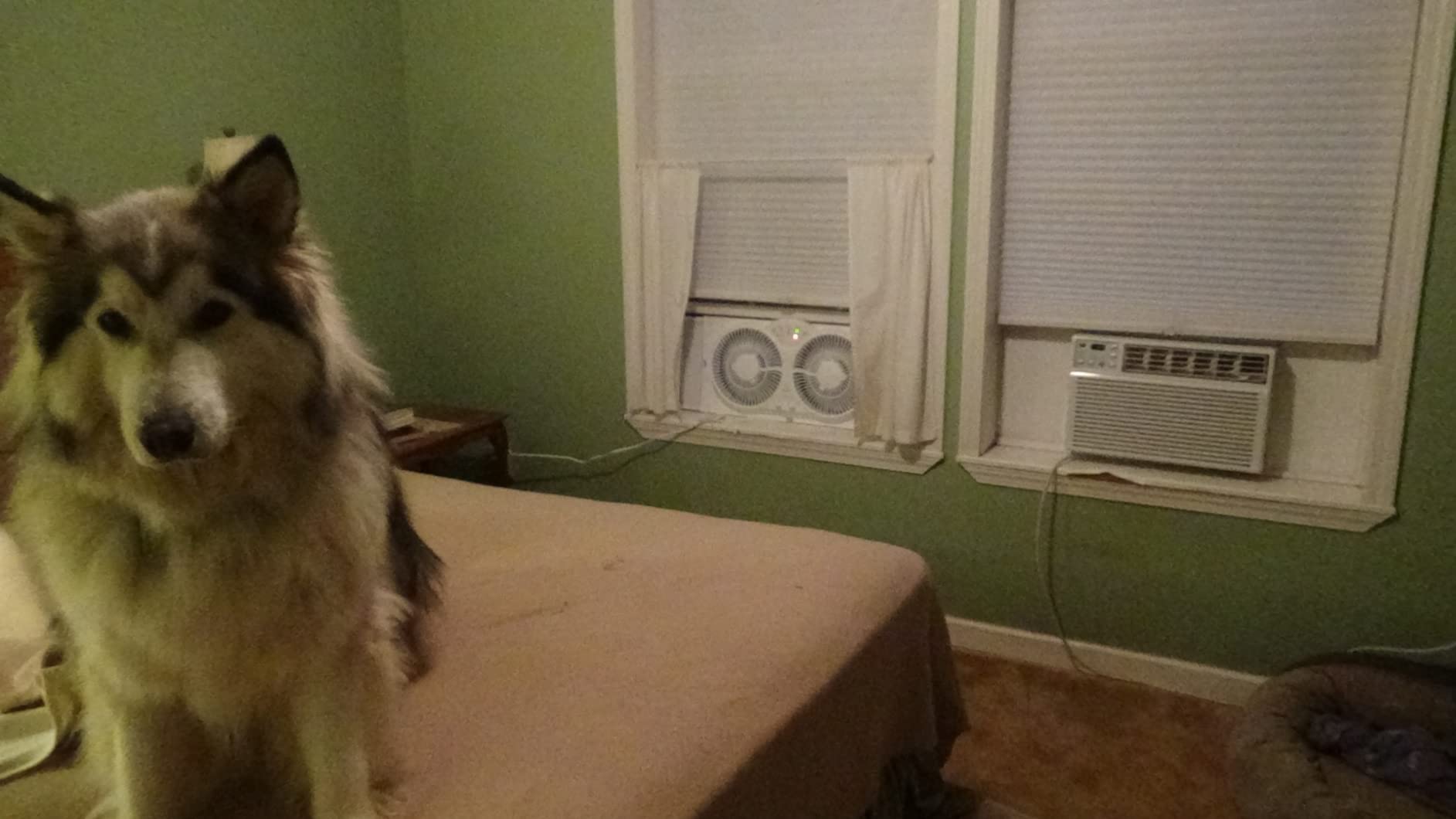 Genesis Twin Fan High Velocity Reversible AirFlow Fan, LED Indicator Lights Adjustable Thermostat & Max Cool Technology, ETL Certified, White (A1WINDOWFAN) customer photo 2