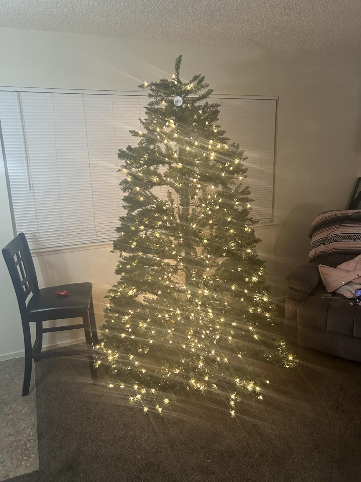 National Tree Company 6ft Pre-Lit Dunhill Fir Artificial Christmas Tree | 600 Clear Lights, 1,430 Tips, Includes Stand, Green customer photo 2