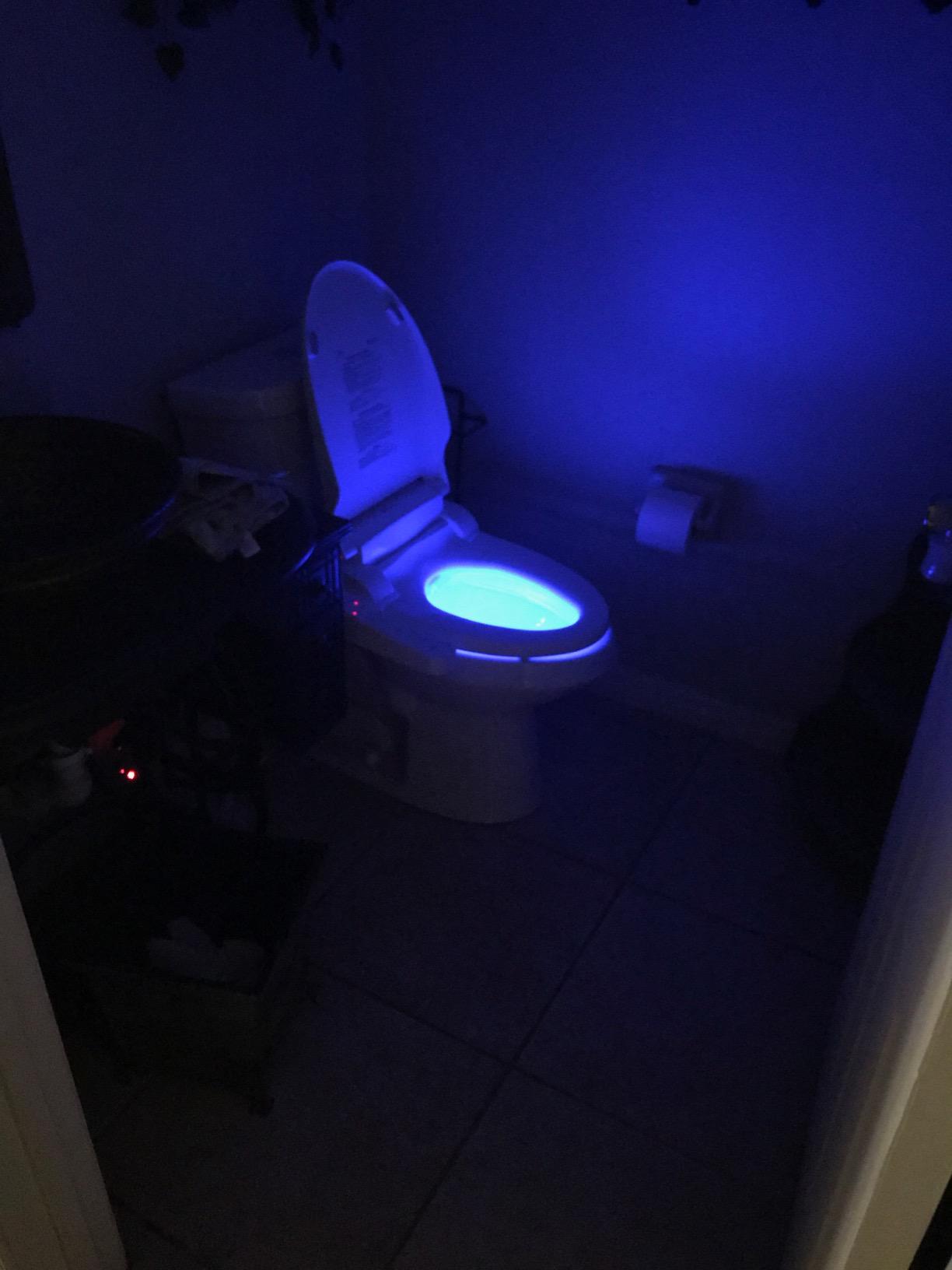 Brondell SE400-EW Swash SE400 Electric Bidet Toilet Seat With Heated Seat, Oscillating Stainless Steel Nozzle, Warm Air Dryer, Night Light, Gentle Close Lid, White Side Arm Control, Elongated customer photo 2
