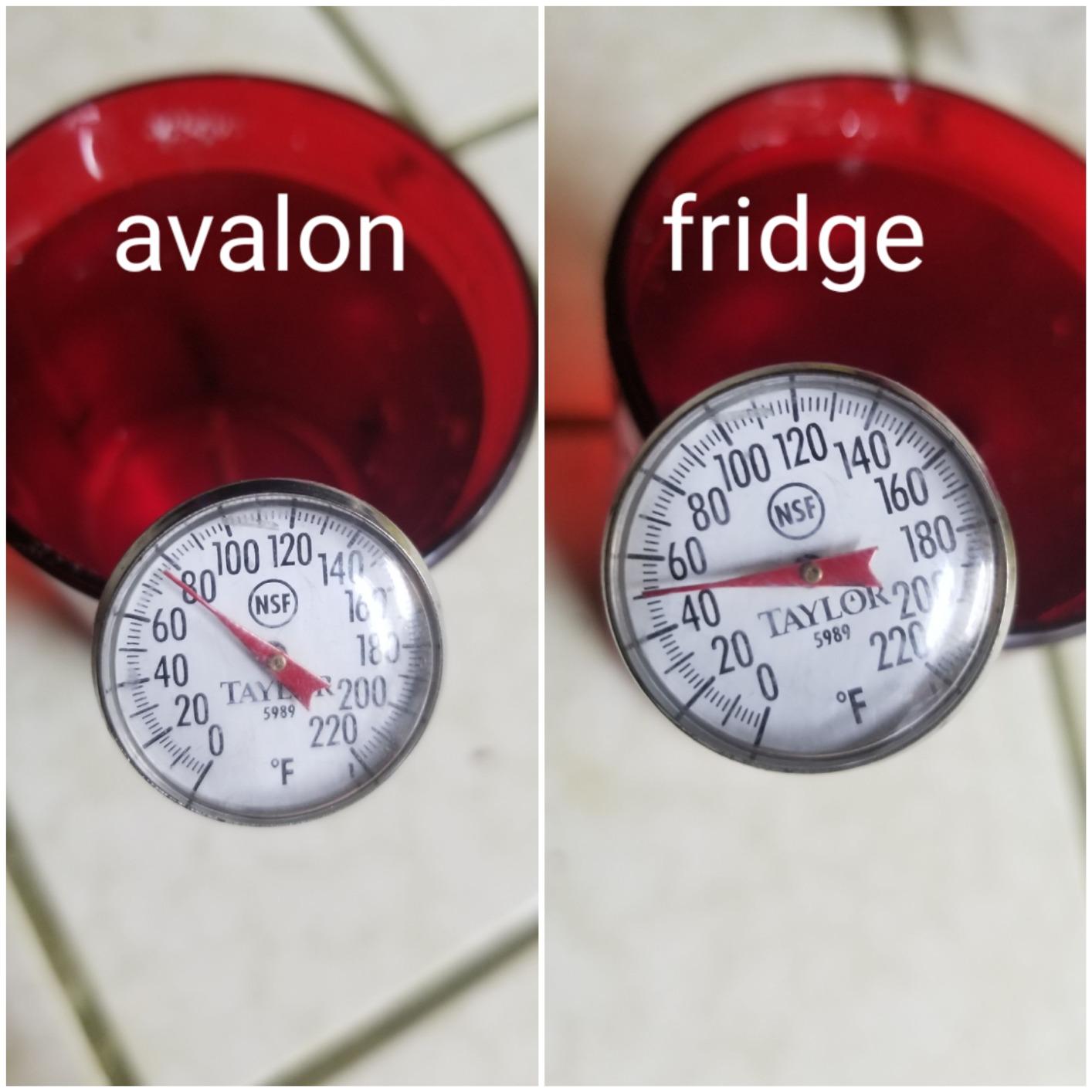 Avalon Countertop Self Cleaning Bottleless Water Cooler Water Dispenser - Hot & Cold Water, NSF Certified Filter- UL Listed- Black customer photo 1