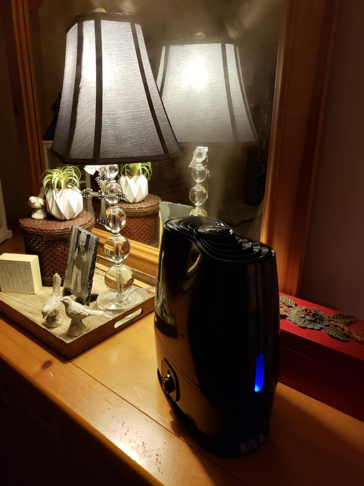 Everlasting Comfort 6L Large Humidifier for Bedroom, 28 dB Cool Mist customer photo 1