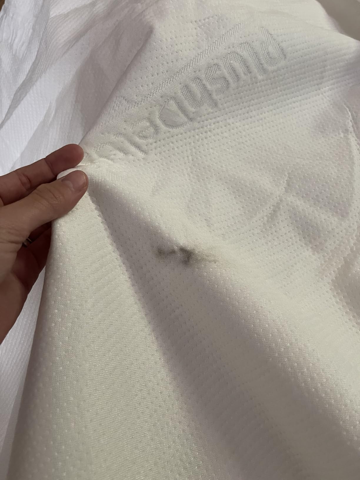 PlushDeluxe Bamboo Waterproof Mattress Protector, Queen Size, Ultra Soft customer photo 1