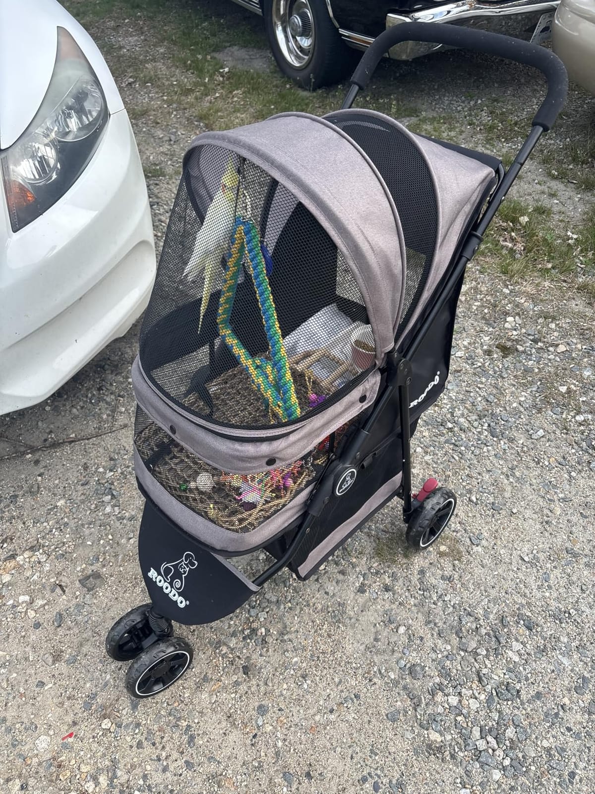 ROODO Escort 3 Wheel Dog Cat Pet Stroller for Small/Medium Dogs Cats Best Lightweight Foldable Portable Compact Jogger All Terrain Travel Pet Gear System Puppy Doggie Bunny Kitty Stroller (Grey) customer photo 1
