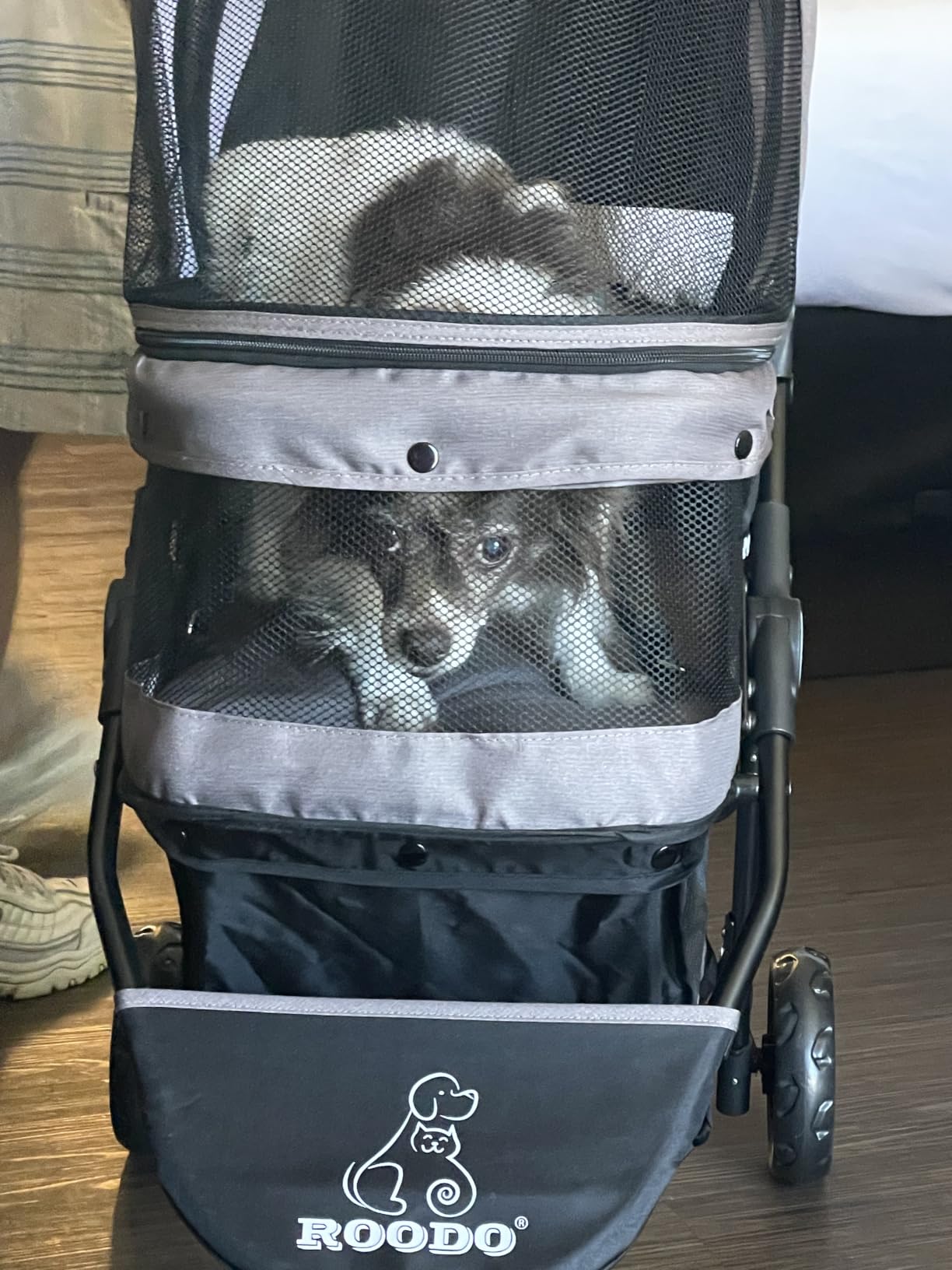ROODO Escort 3 Wheel Dog Cat Pet Stroller for Small/Medium Dogs Cats Best Lightweight Foldable Portable Compact Jogger All Terrain Travel Pet Gear System Puppy Doggie Bunny Kitty Stroller (Grey) customer photo 2